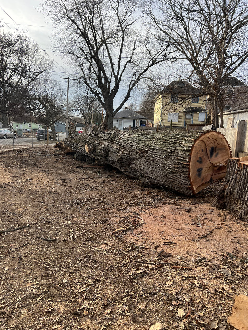 Frank Trunk Section — Large Round