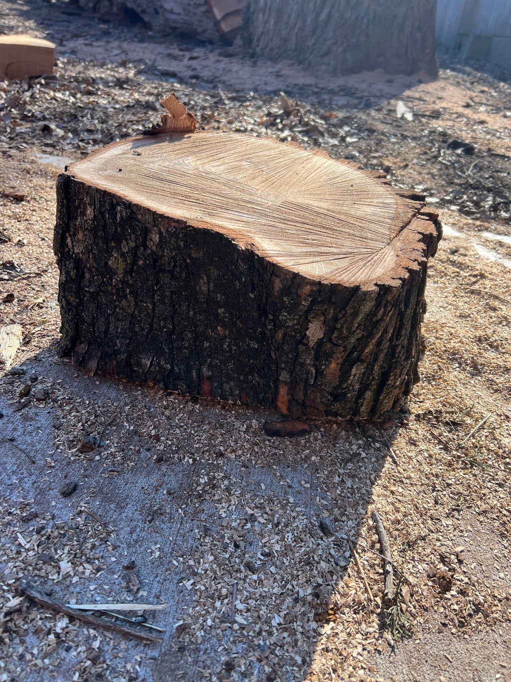 Frank Statement Piece — Medium Wood Chunk