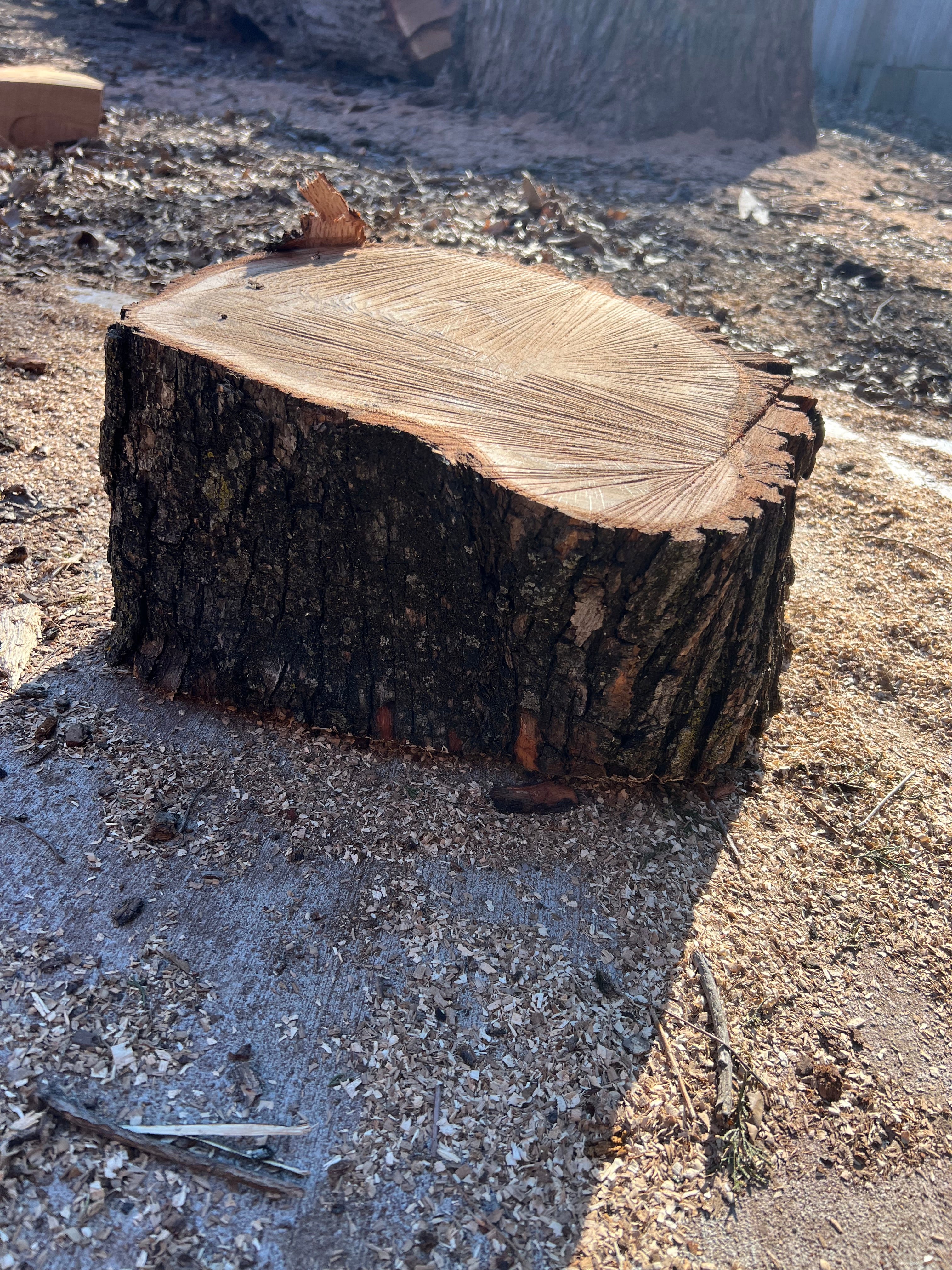 Frank Statement Piece — Medium Wood Chunk