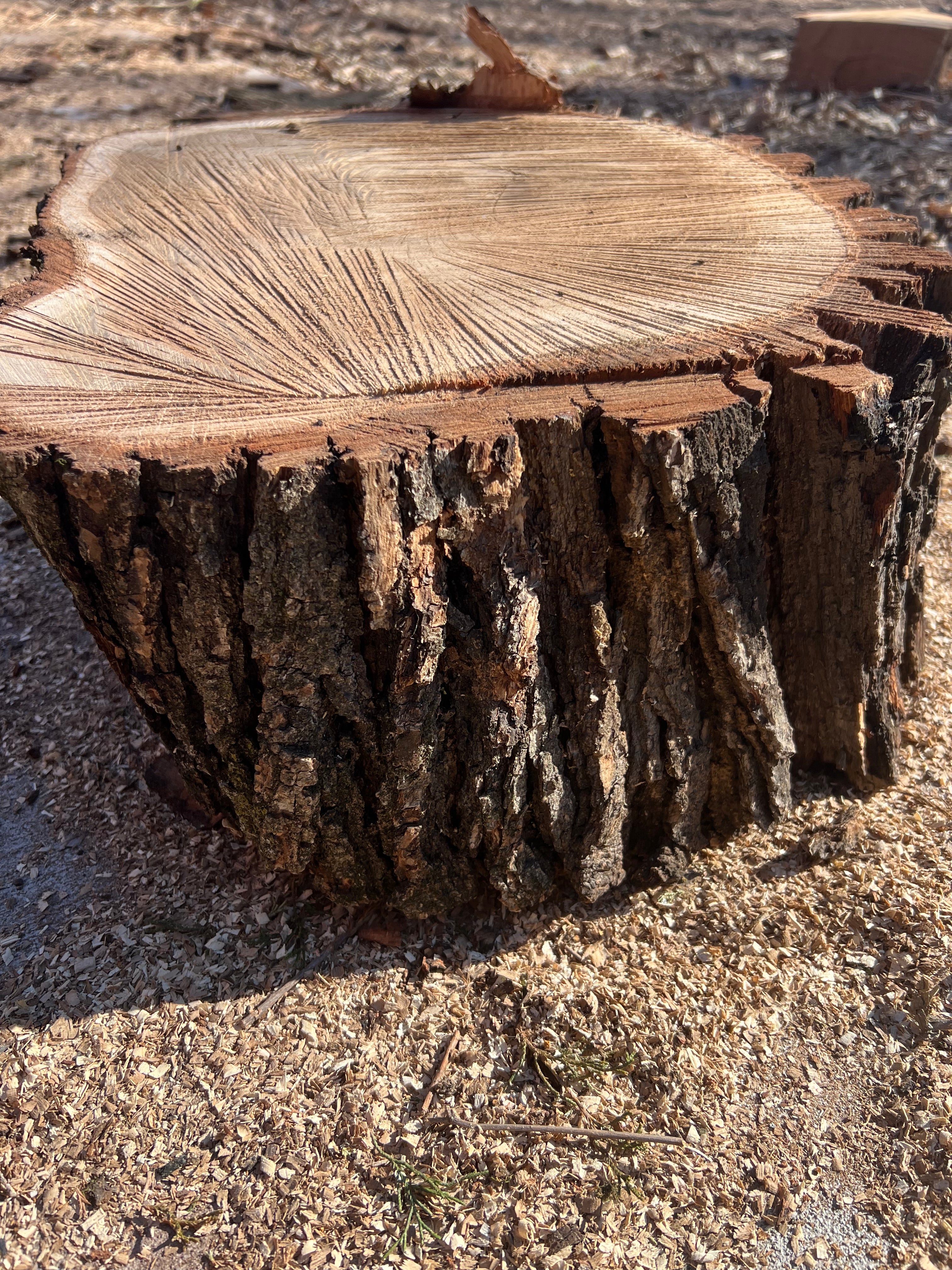 Frank Statement Piece — Medium Wood Chunk