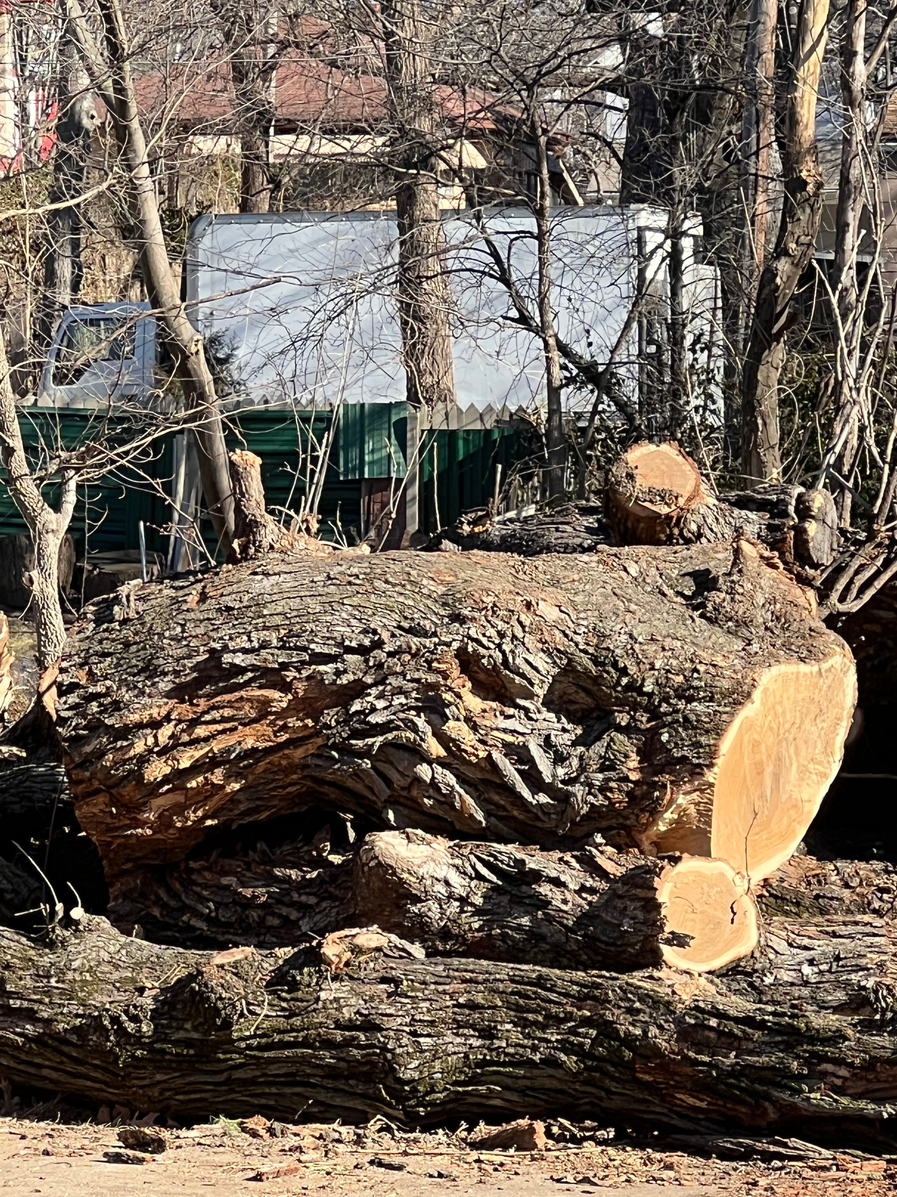 Frank Workshop Piece — Large Wood for DIY Projects