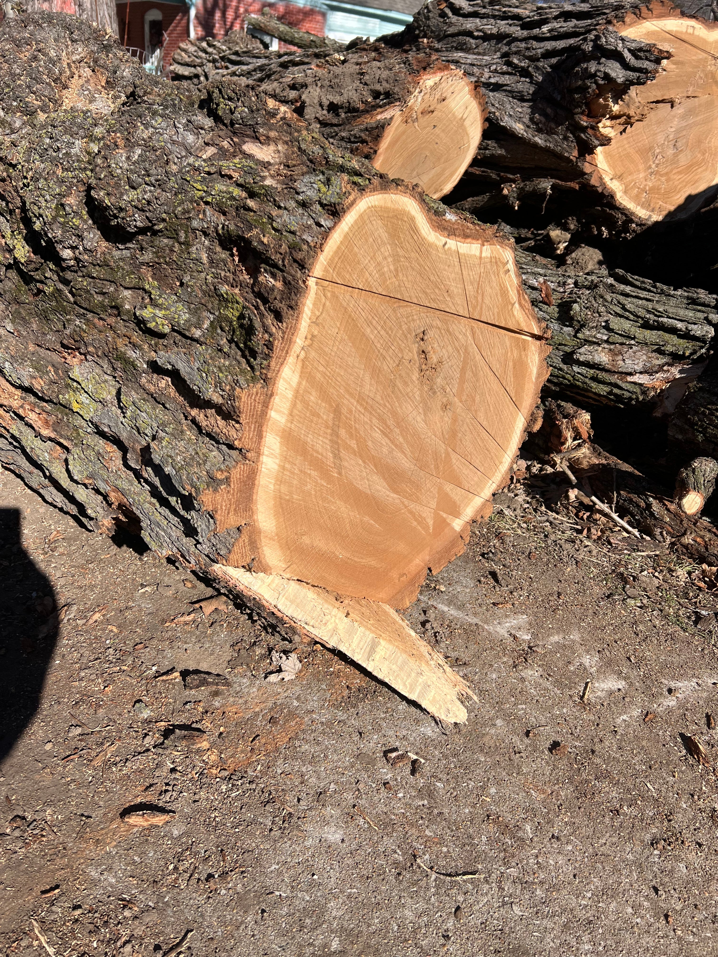 Frank Workshop Piece — Large Wood for DIY Projects